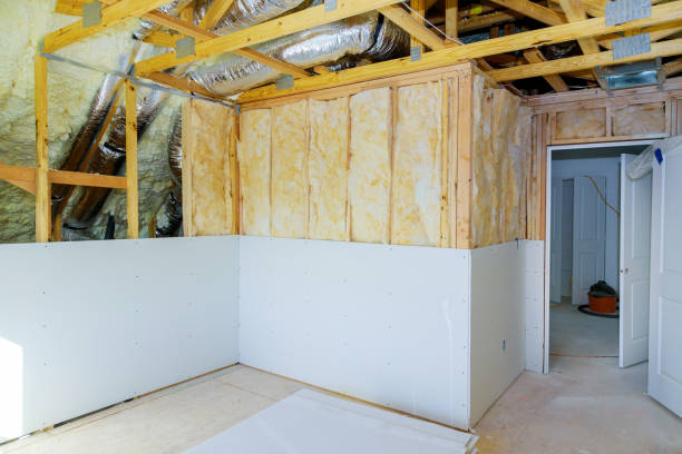 Best Commercial Insulation Services  in Lenoir, NC